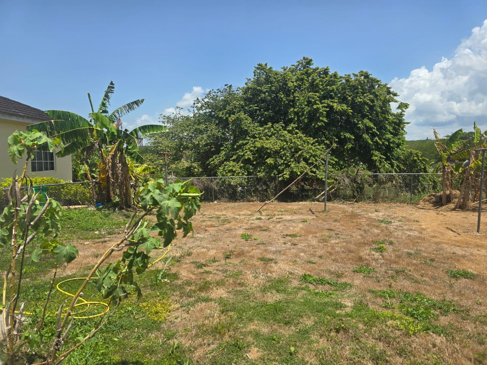 Seventh image of 245 Holland Estate in Falmouth, Trelawny, Jamaica - property is For Sale