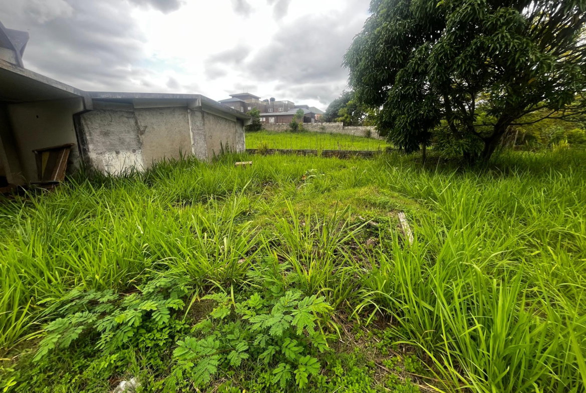 Sixth image of 207 Cyprus Hall Road in Red Hills, St. Andrew, Jamaica - property is For Sale