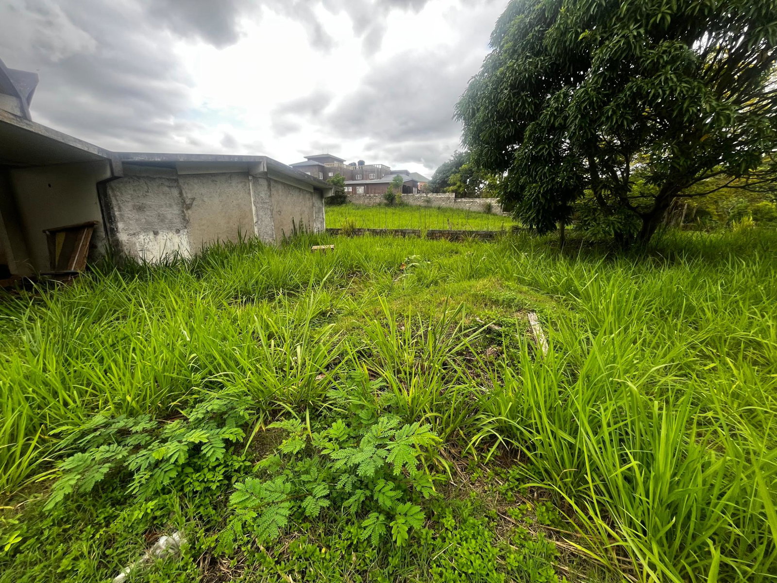 Sixth image of 207 Cyprus Hall Road in Red Hills, St. Andrew, Jamaica - property is For Sale