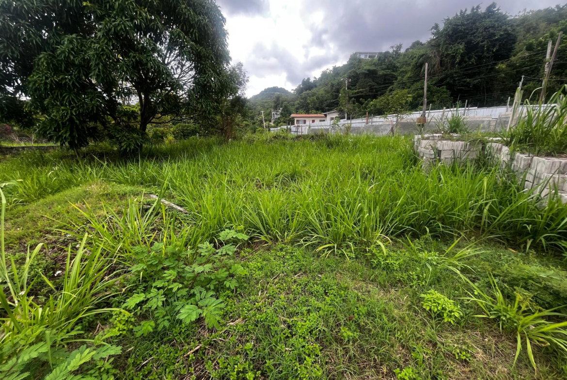 Seventh image of 207 Cyprus Hall Road in Red Hills, St. Andrew, Jamaica - property is For Sale