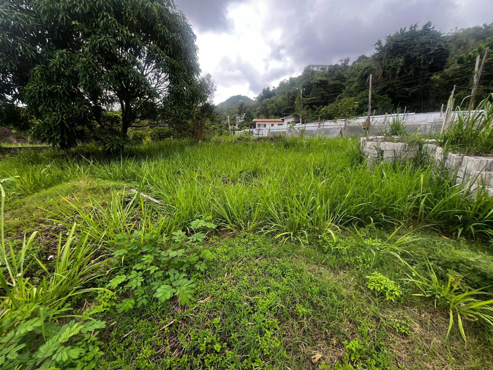 Seventh image of 207 Cyprus Hall Road in Red Hills, St. Andrew, Jamaica - property is For Sale