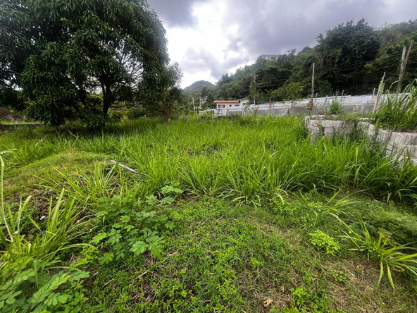 Seventh image of 207 Cyprus Hall Road in Red Hills, St. Andrew, Jamaica - property is For Sale