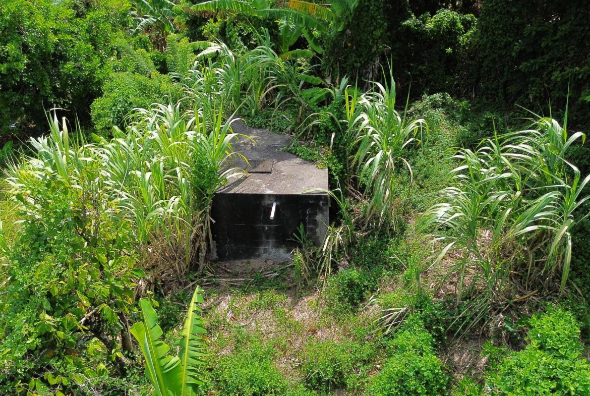 Twenty-Seventh image of 139- Hopewell in Highgate, St. Mary, Jamaica - property is For Sale