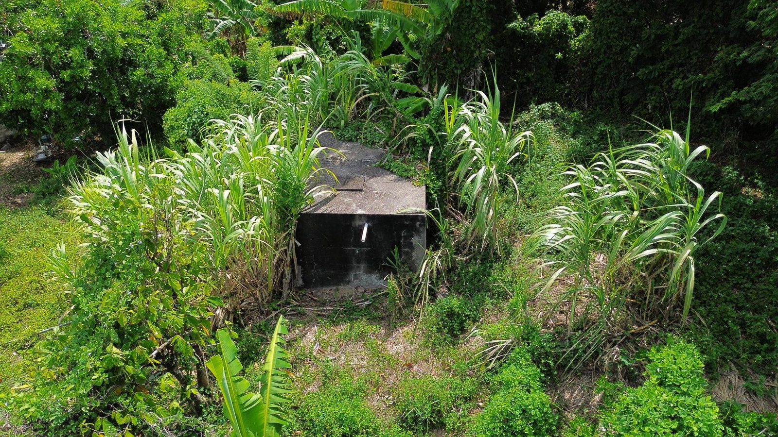 Twenty-Seventh image of 139- Hopewell in Highgate, St. Mary, Jamaica - property is For Sale