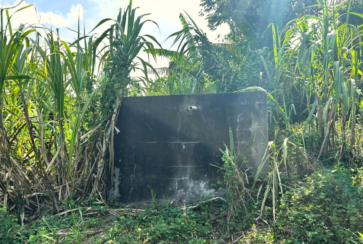 Twenty-Eighth image of 139- Hopewell in Highgate, St. Mary, Jamaica - property is For Sale
