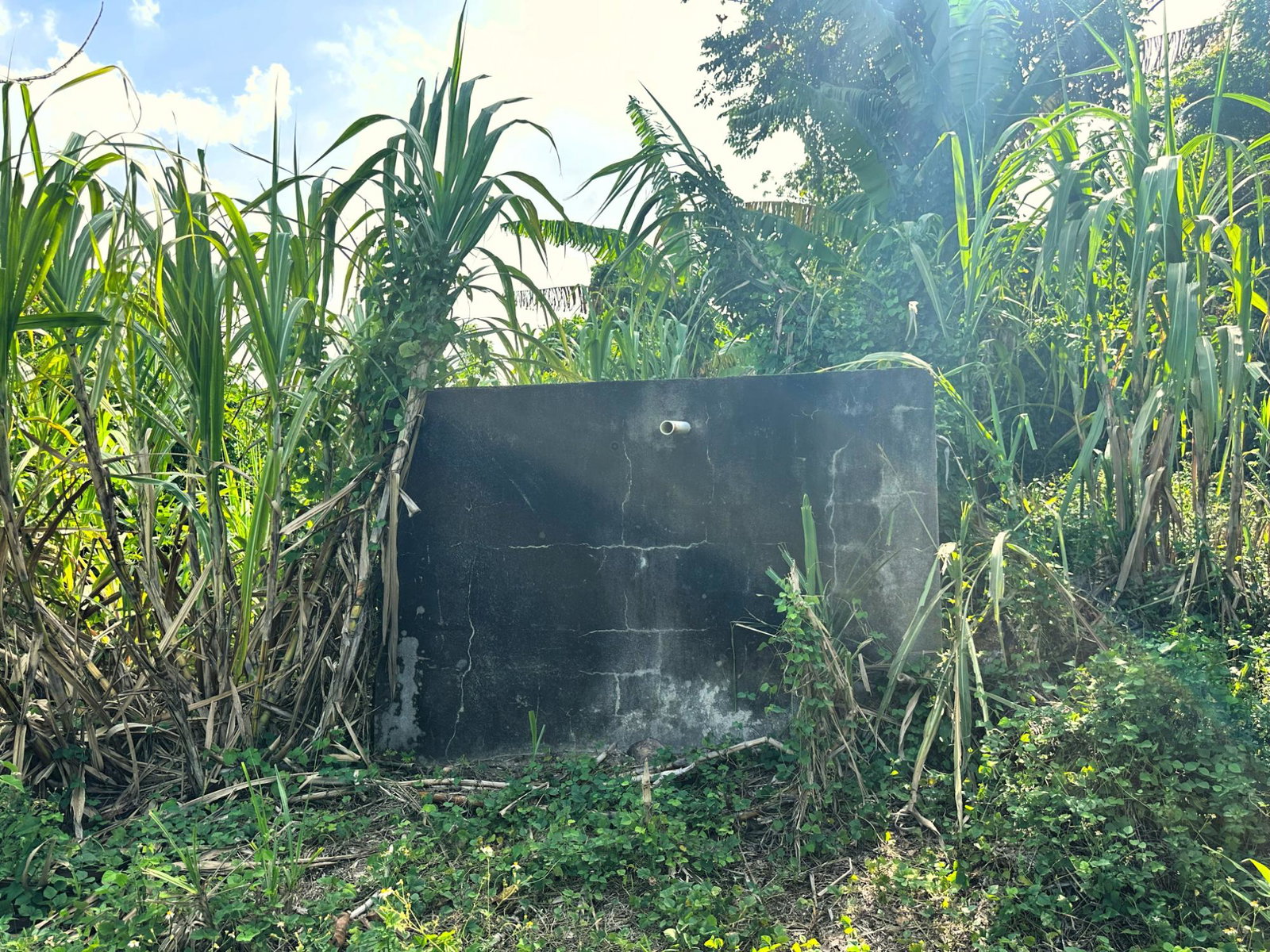 Twenty-Eighth image of 139- Hopewell in Highgate, St. Mary, Jamaica - property is For Sale