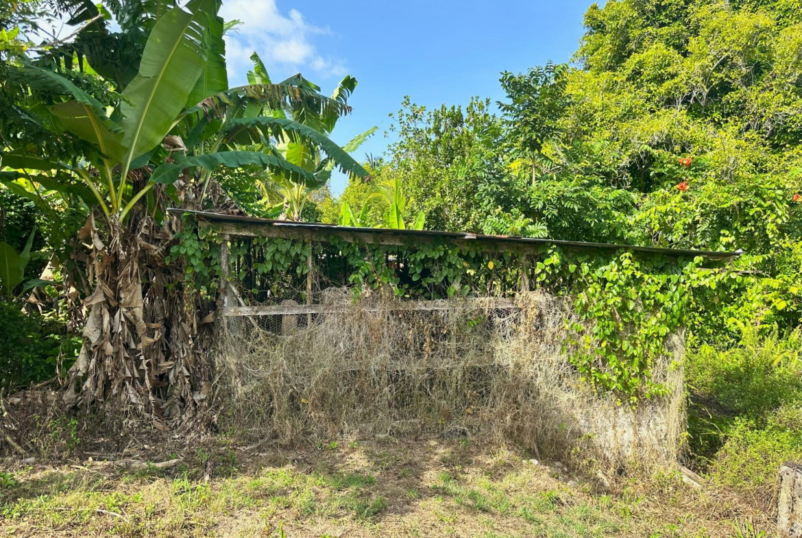 Thirtieth image of 139- Hopewell in Highgate, St. Mary, Jamaica - property is For Sale