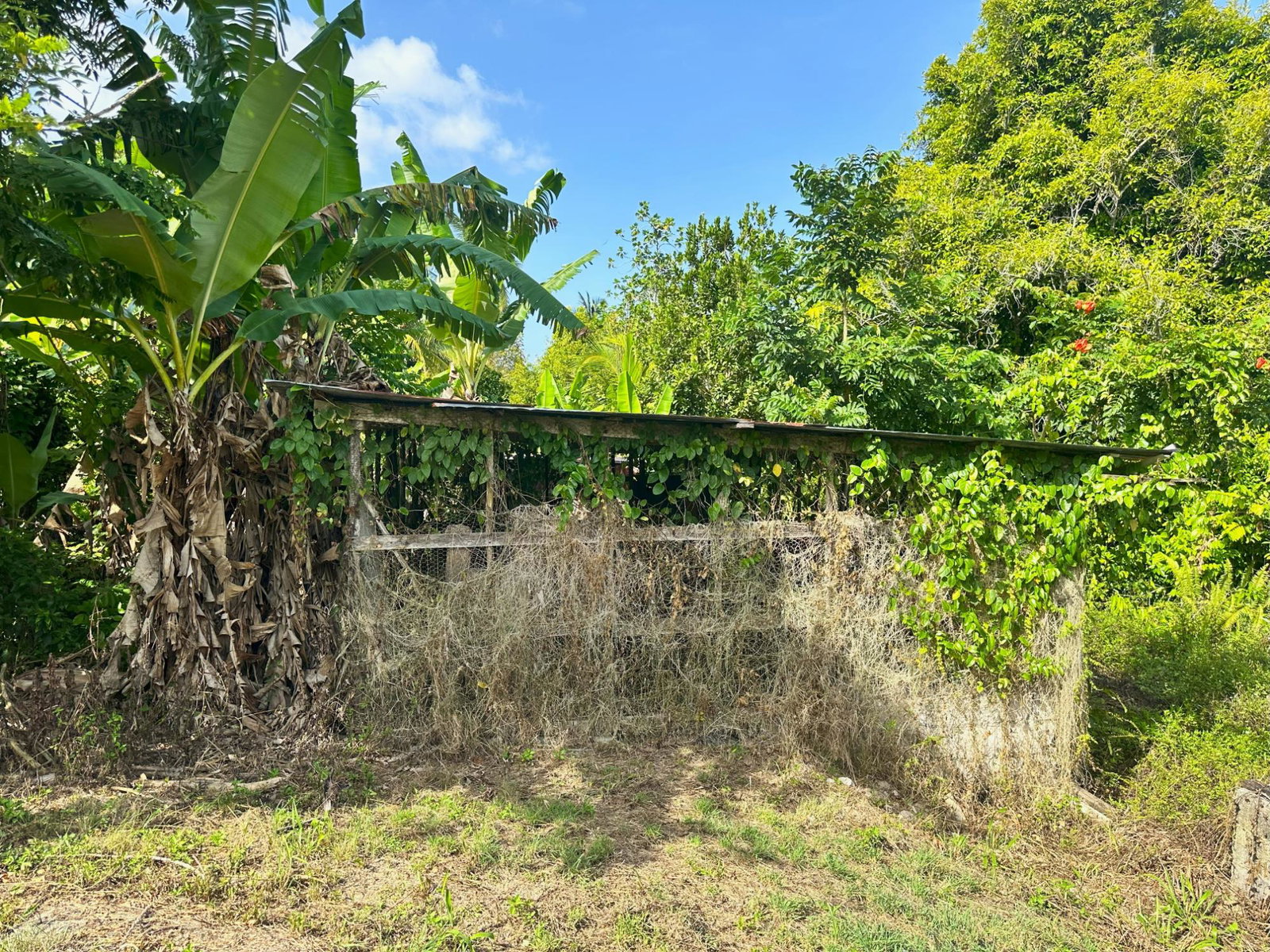 Thirtieth image of 139- Hopewell in Highgate, St. Mary, Jamaica - property is For Sale