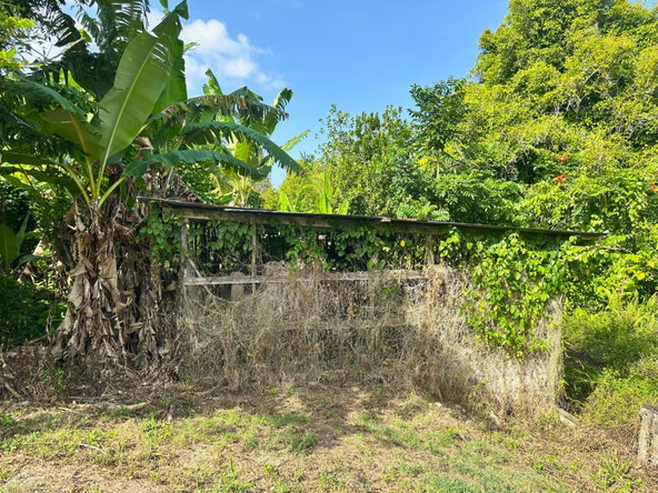 Thirtieth image of 139- Hopewell in Highgate, St. Mary, Jamaica - property is For Sale