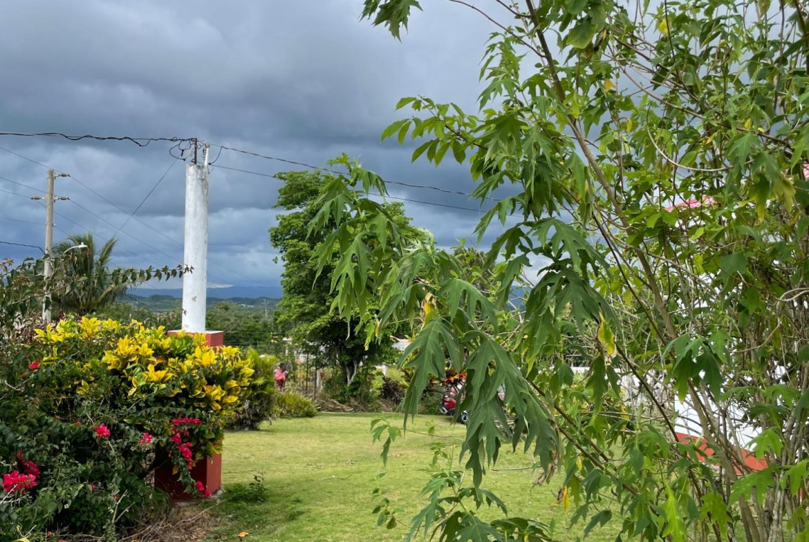 Seventeenth image of Cononley, New Wales in New Whales, Manchester, Jamaica - property is For Sale