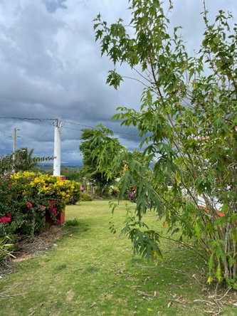 Seventeenth image of Cononley, New Wales in New Whales, Manchester, Jamaica - property is For Sale