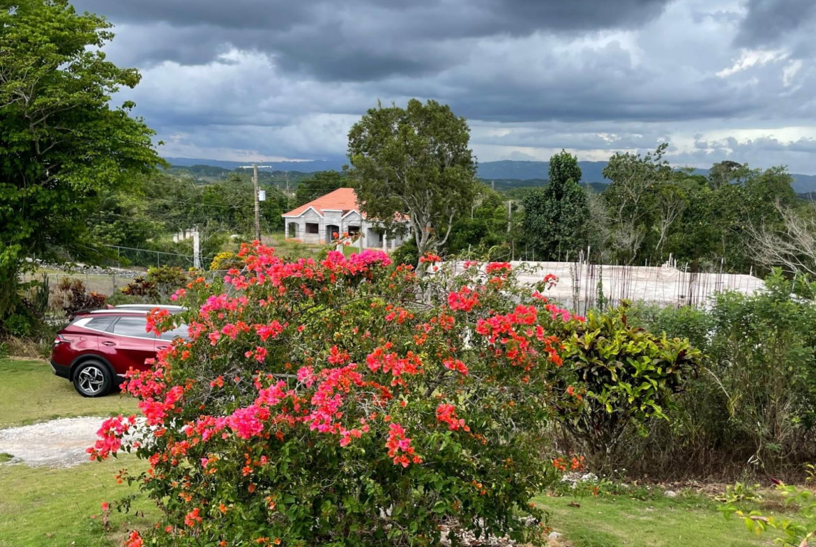Eighteenth image of Cononley, New Wales in New Whales, Manchester, Jamaica - property is For Sale