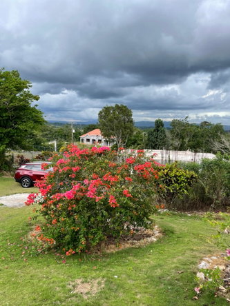 Eighteenth image of Cononley, New Wales in New Whales, Manchester, Jamaica - property is For Sale
