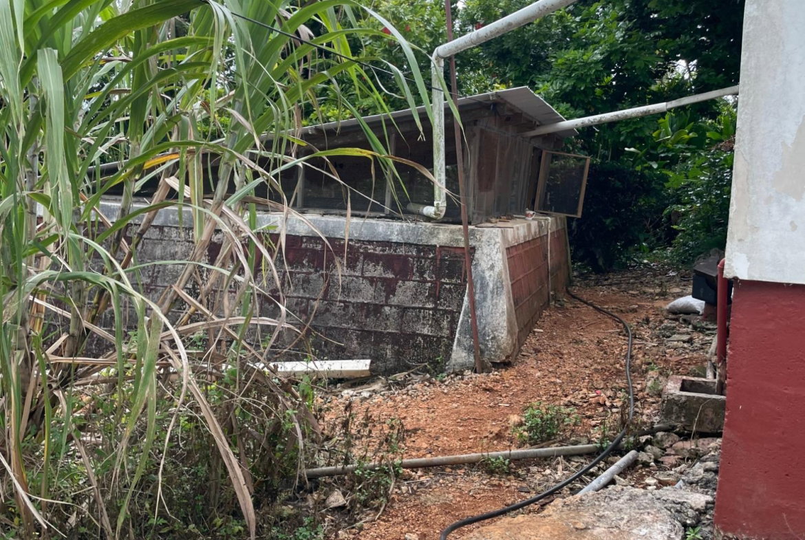 Twenty-First image of Cononley, New Wales in New Whales, Manchester, Jamaica - property is For Sale