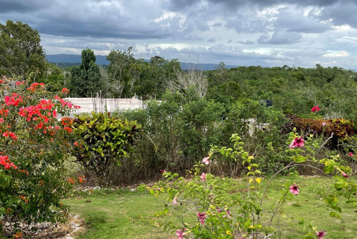 Twenty-Third image of Cononley, New Wales in New Whales, Manchester, Jamaica - property is For Sale