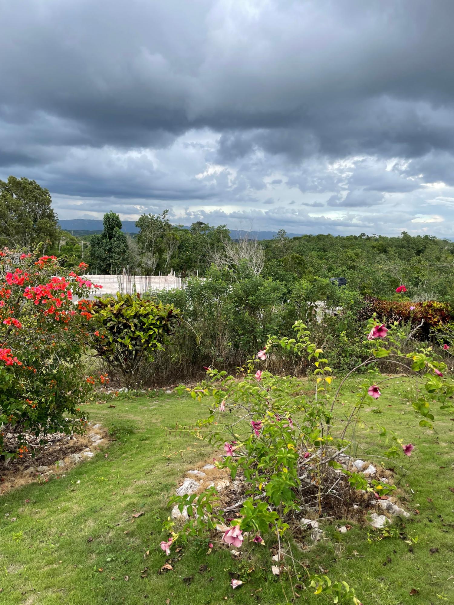 Charming-3-Bedroom-Countryside-Home-for-Sale-in-New-Wales-Manchester-Jamaica Twenty-Third image of Cononley, New Wales in New Whales, Manchester, Jamaica - property is For Sale