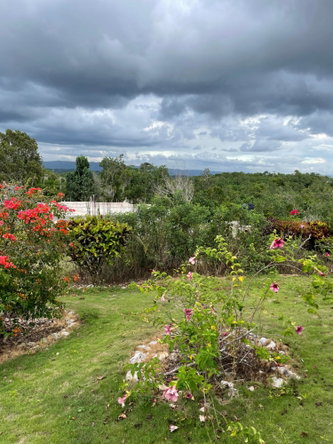 Twenty-Third image of Cononley, New Wales in New Whales, Manchester, Jamaica - property is For Sale