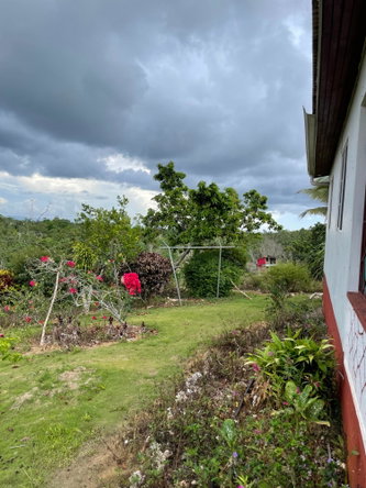 Fourth image of Cononley, New Wales in New Whales, Manchester, Jamaica - property is For Sale