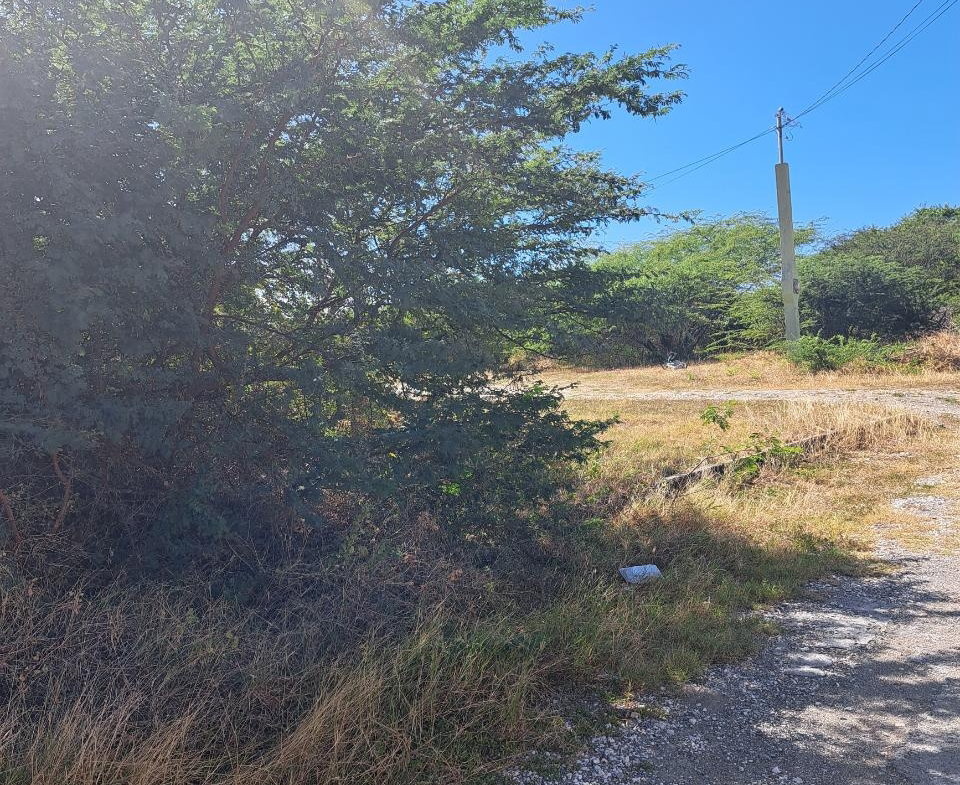 Third image of Lot 134 Coral Crescent in Albion Estate, St. Thomas, Jamaica - property is For Sale