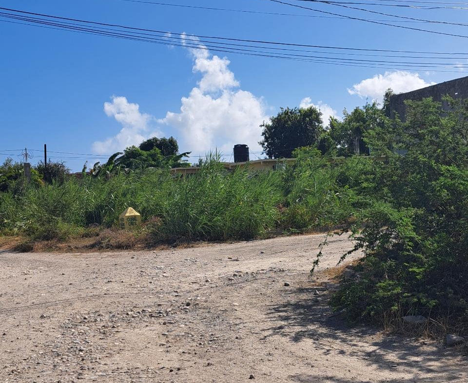 Fourth image of Lot 134 Coral Crescent in Albion Estate, St. Thomas, Jamaica - property is For Sale