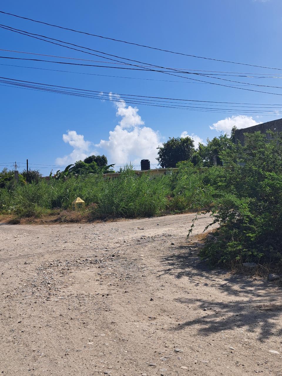 Fourth image of Lot 134 Coral Crescent in Albion Estate, St. Thomas, Jamaica - property is For Sale