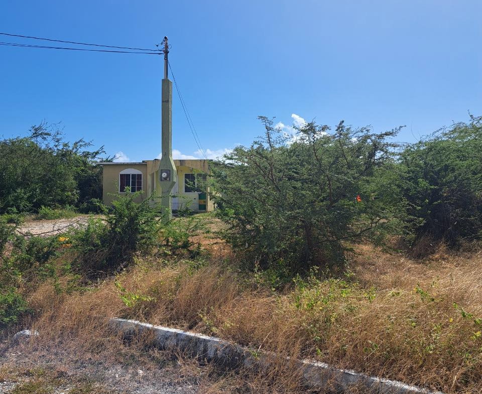 Sixth image of Lot 134 Coral Crescent in Albion Estate, St. Thomas, Jamaica - property is For Sale