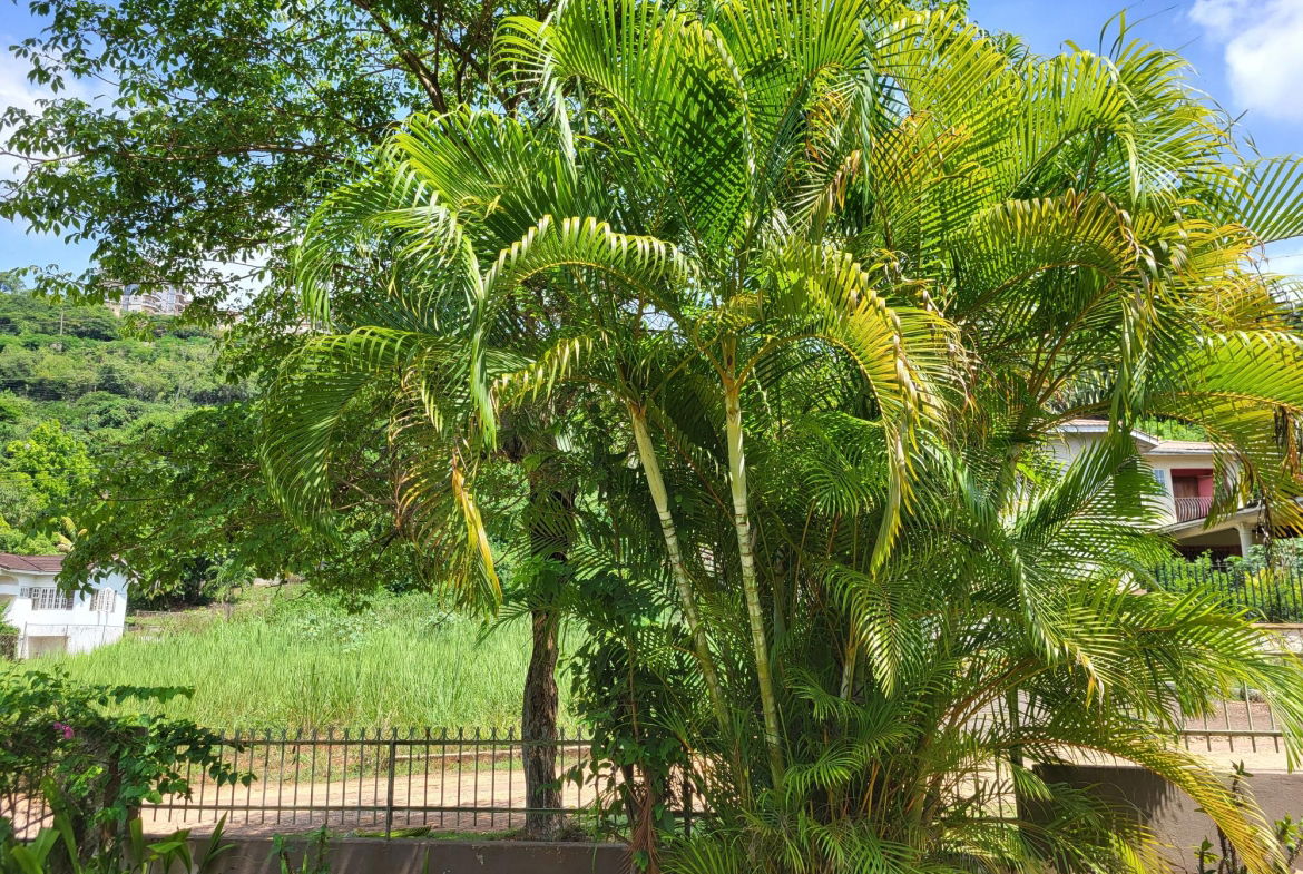 Third image of 7 Kimberley Court in Red Hills, St. Andrew, Jamaica - property is For Sale