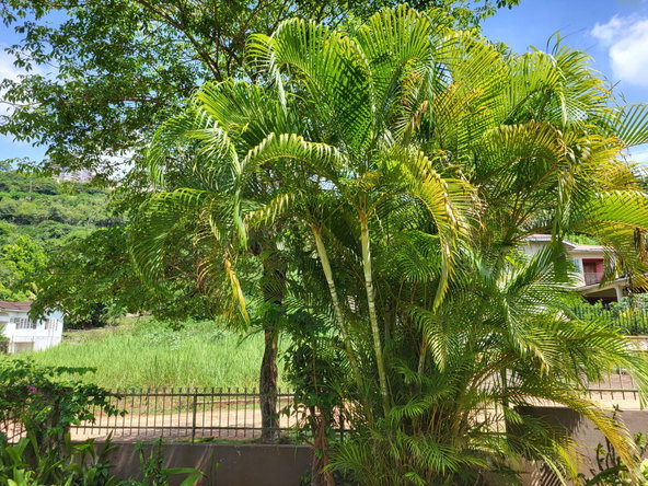 Third image of 7 Kimberley Court in Red Hills, St. Andrew, Jamaica - property is For Sale