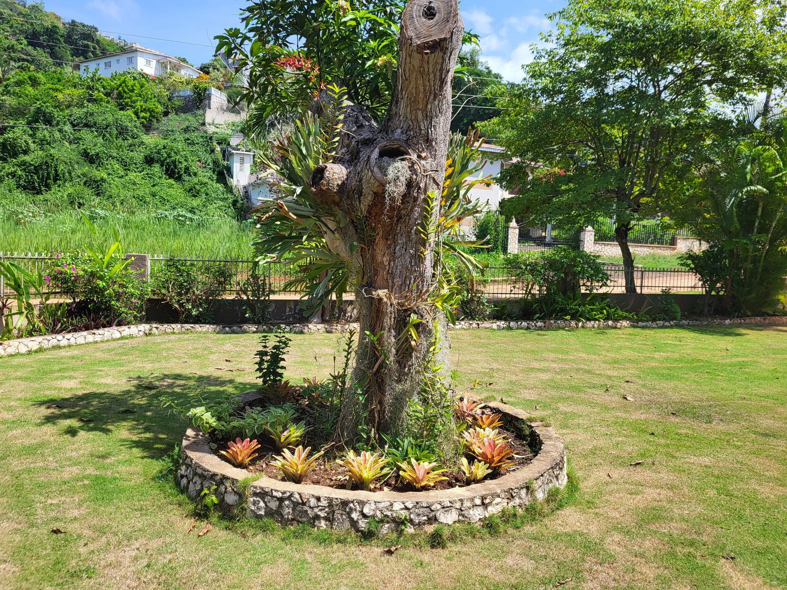 Sixth image of 7 Kimberley Court in Red Hills, St. Andrew, Jamaica - property is For Sale