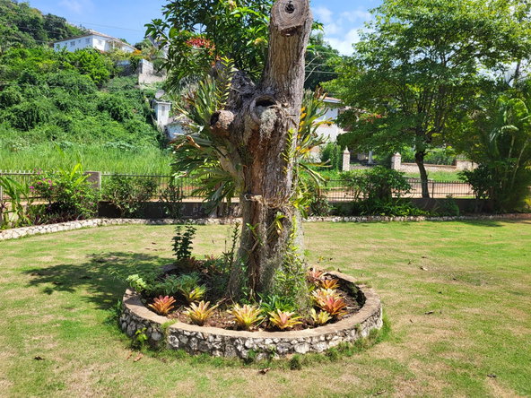 Sixth image of 7 Kimberley Court in Red Hills, St. Andrew, Jamaica - property is For Sale