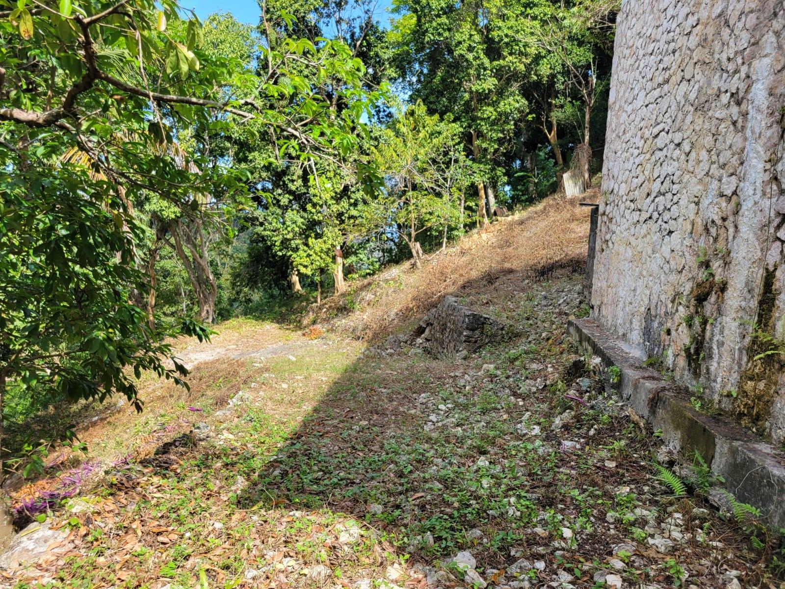 Second image of Charley Mount, Retirement in Retirement, St. James, Jamaica - property is For Sale