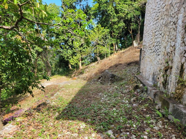Second image of Charley Mount, Retirement in Retirement, St. James, Jamaica - property is For Sale