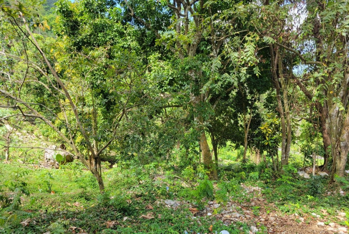Eighteenth image of Charley Mount, Retirement in Retirement, St. James, Jamaica - property is For Sale