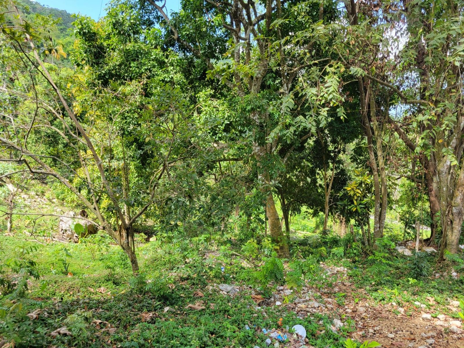 Eighteenth image of Charley Mount, Retirement in Retirement, St. James, Jamaica - property is For Sale