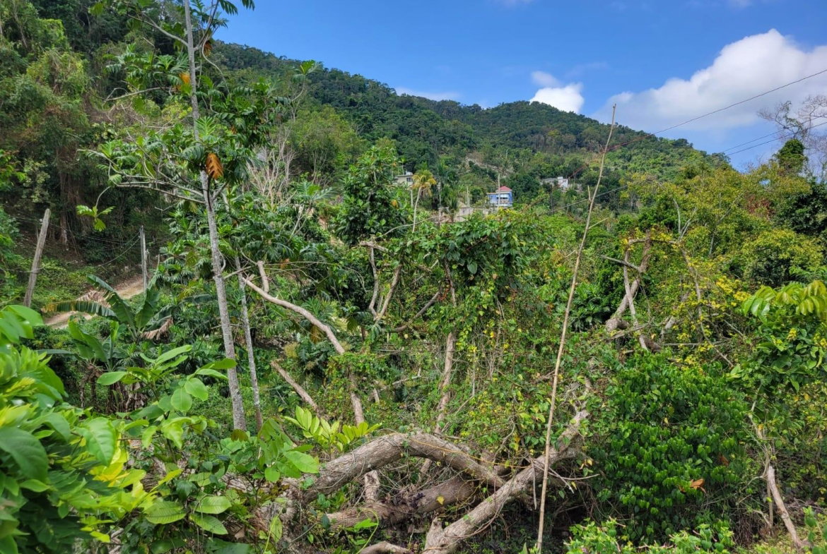 Twentieth image of Charley Mount, Retirement in Retirement, St. James, Jamaica - property is For Sale
