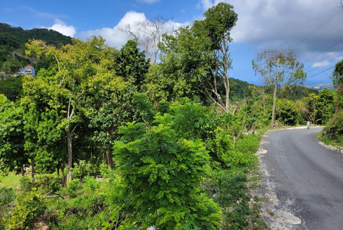Twenty-First image of Charley Mount, Retirement in Retirement, St. James, Jamaica - property is For Sale