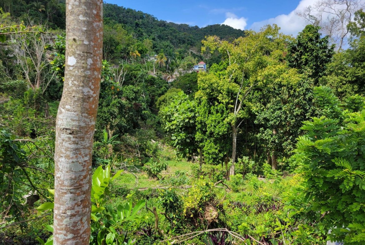 Twenty-Third image of Charley Mount, Retirement in Retirement, St. James, Jamaica - property is For Sale