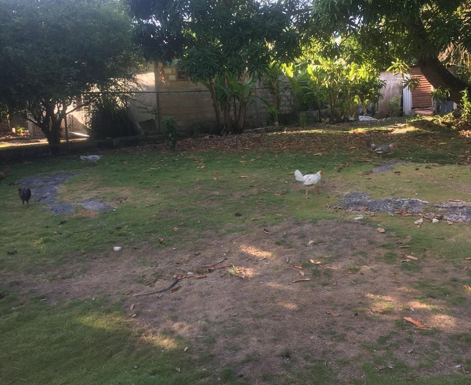 Eighteenth image of Balmoral Heights in Tower Isle, St. Mary, Jamaica - property is For Sale