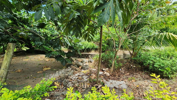Fifteenth image of Green Castle in Robins Bay, St. Mary, Jamaica - property is For Sale
