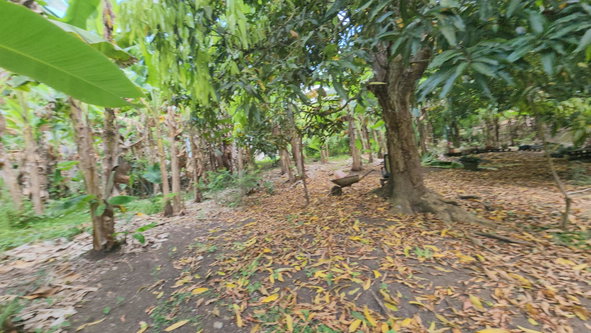 Seventeenth image of Green Castle in Robins Bay, St. Mary, Jamaica - property is For Sale