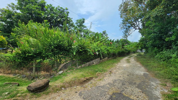 Twentieth image of Green Castle in Robins Bay, St. Mary, Jamaica - property is For Sale