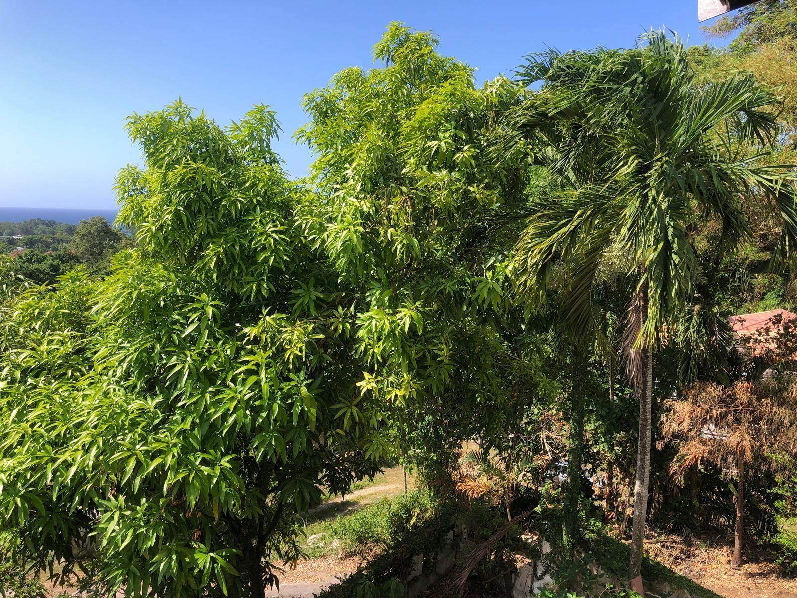 Fourth image of Lot 26- Eltham Close in Ocho Rios, St. Ann, Jamaica - property is For Sale