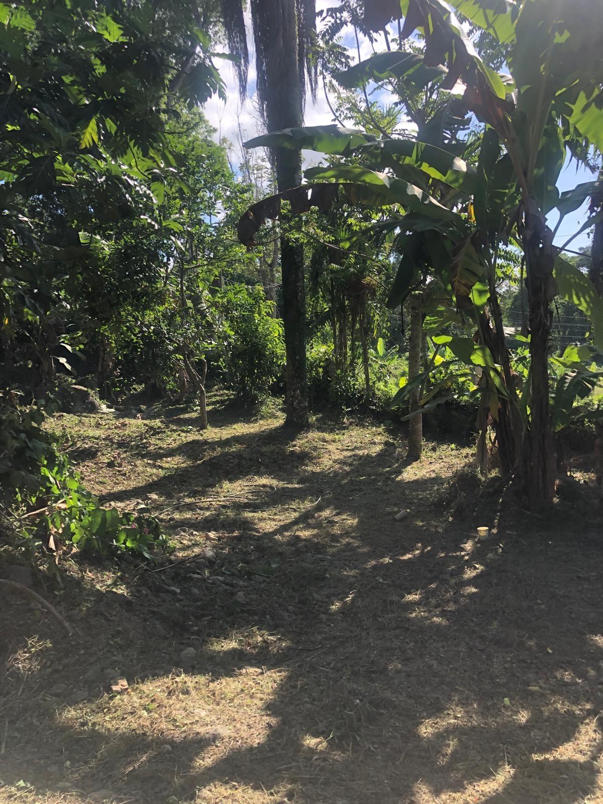 Ninth image of Lot 26- Eltham Close in Ocho Rios, St. Ann, Jamaica - property is For Sale