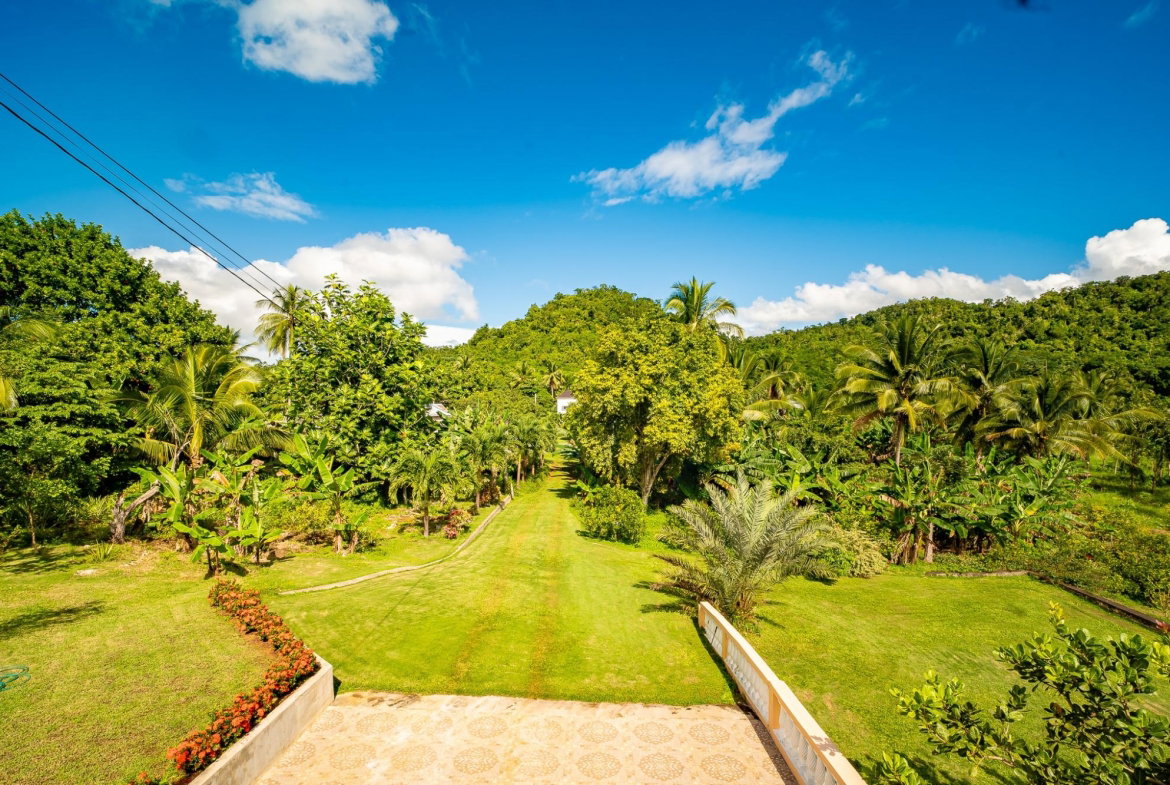 Twenty-Fourth image of Lot 68 Trelawny in Duanvale, Trelawny, Jamaica - property is For Sale
