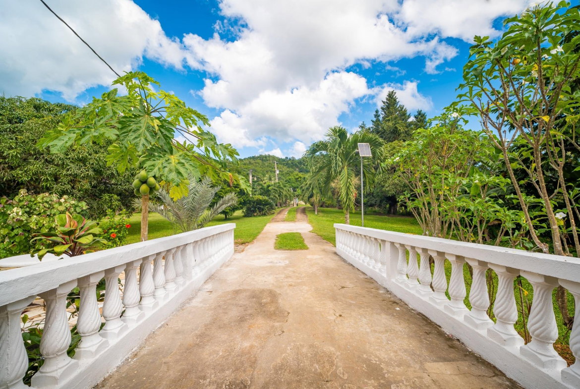Thirtieth image of Lot 68 Trelawny in Duanvale, Trelawny, Jamaica - property is For Sale
