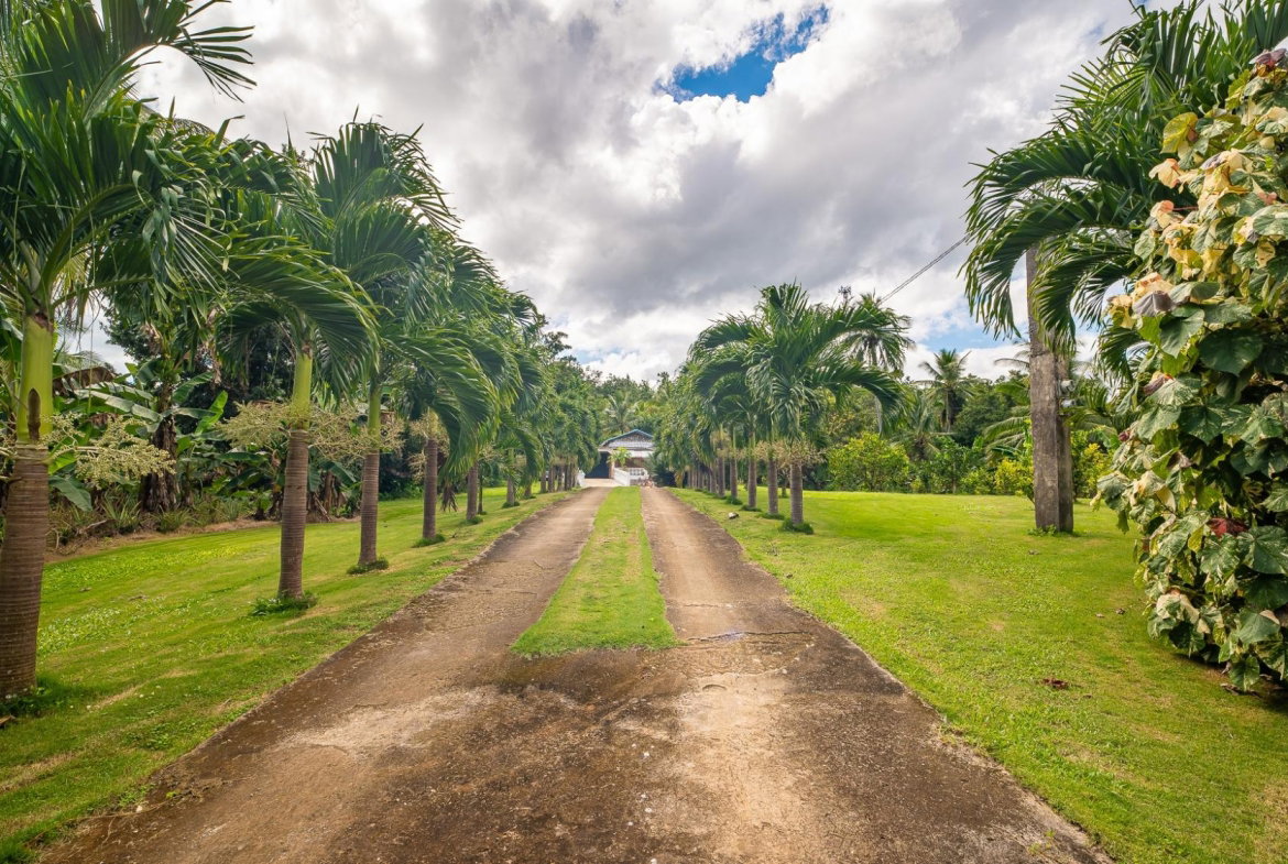 Seventh image of Lot 68 Trelawny in Duanvale, Trelawny, Jamaica - property is For Sale