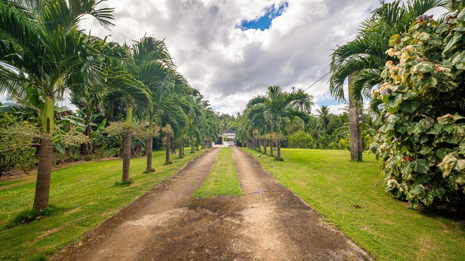 Seventh image of Lot 68 Trelawny in Duanvale, Trelawny, Jamaica - property is For Sale