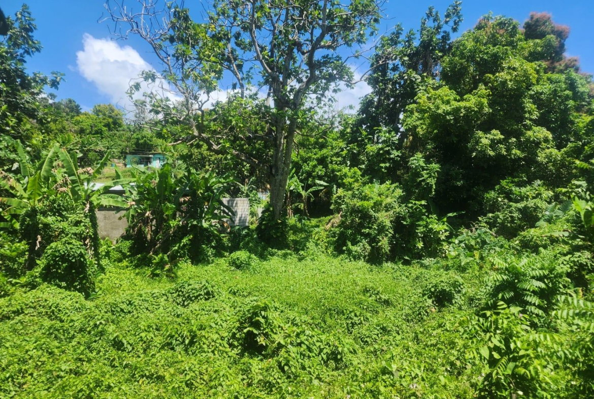 Second image of 108 Phillips Avenue in Lyssons, St. Thomas, Jamaica - property is For Sale