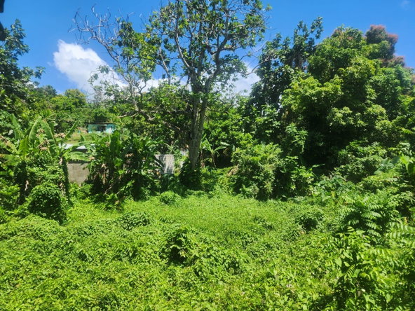 Second image of 108 Phillips Avenue in Lyssons, St. Thomas, Jamaica - property is For Sale