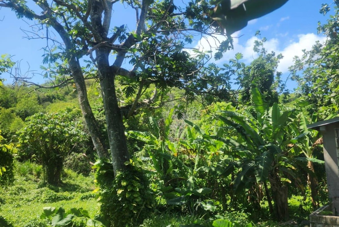 Twelfth image of 108 Phillips Avenue in Lyssons, St. Thomas, Jamaica - property is For Sale
